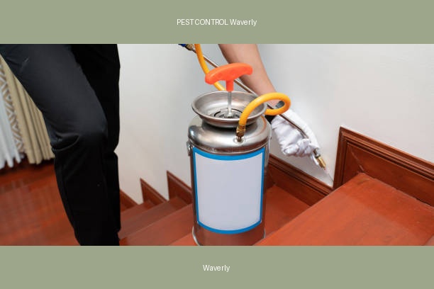 PEST CONTROL Waverly
